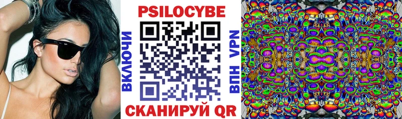 Псилоцибиновые грибы Psilocybine cubensis  как найти наркотики  Кыштым 